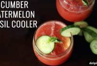 Vibrant Cucumber Watermelon Basil Refresher