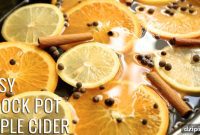 Cozy Crock Pot Apple Cider