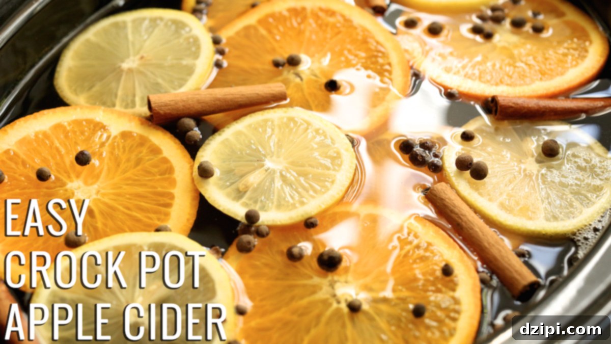 Cozy Crock Pot Apple Cider 1 featured 1535