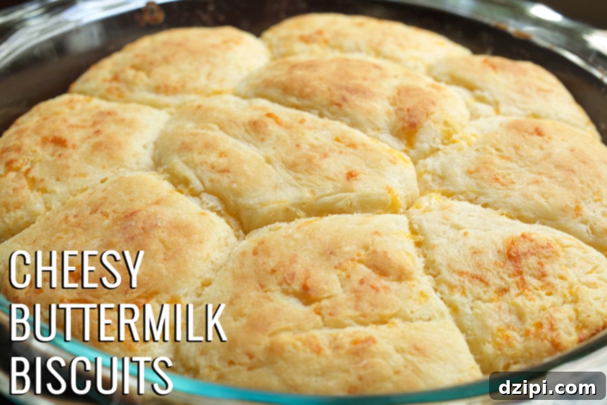 Fluffy Cheesy Buttermilk Biscuits 1 featured 267