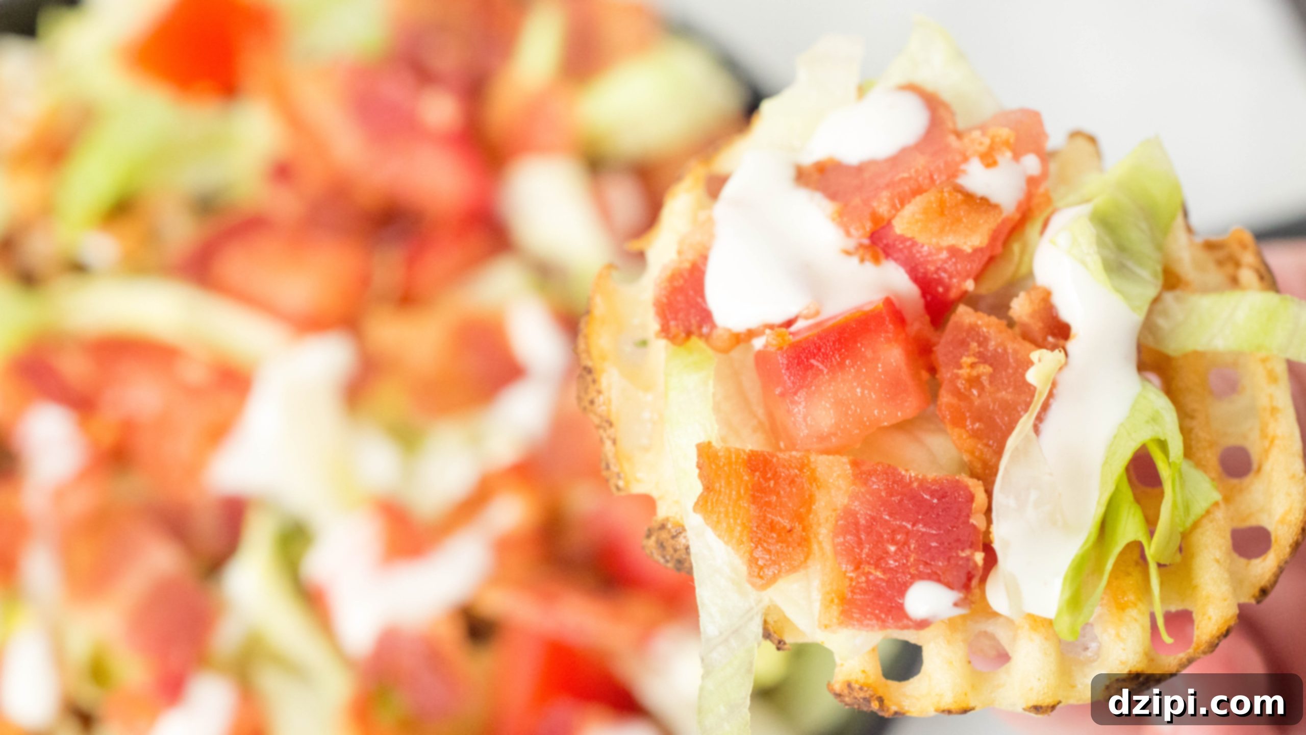 featured 3453 scaled