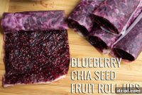 Homemade Blueberry Chia Seed Fruit Roll Ups