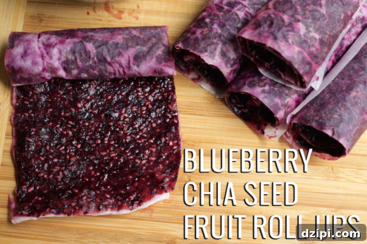 Homemade Blueberry Chia Seed Fruit Roll Ups 1 featured 370