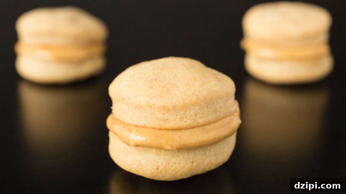 Gourmet Peanut Butter Macarons for Pups 1 featured 5226