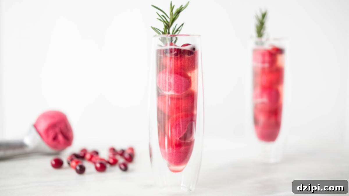 Sparkling Cranberry Sorbet Rosé Mimosa for the Holidays 1 featured 6870