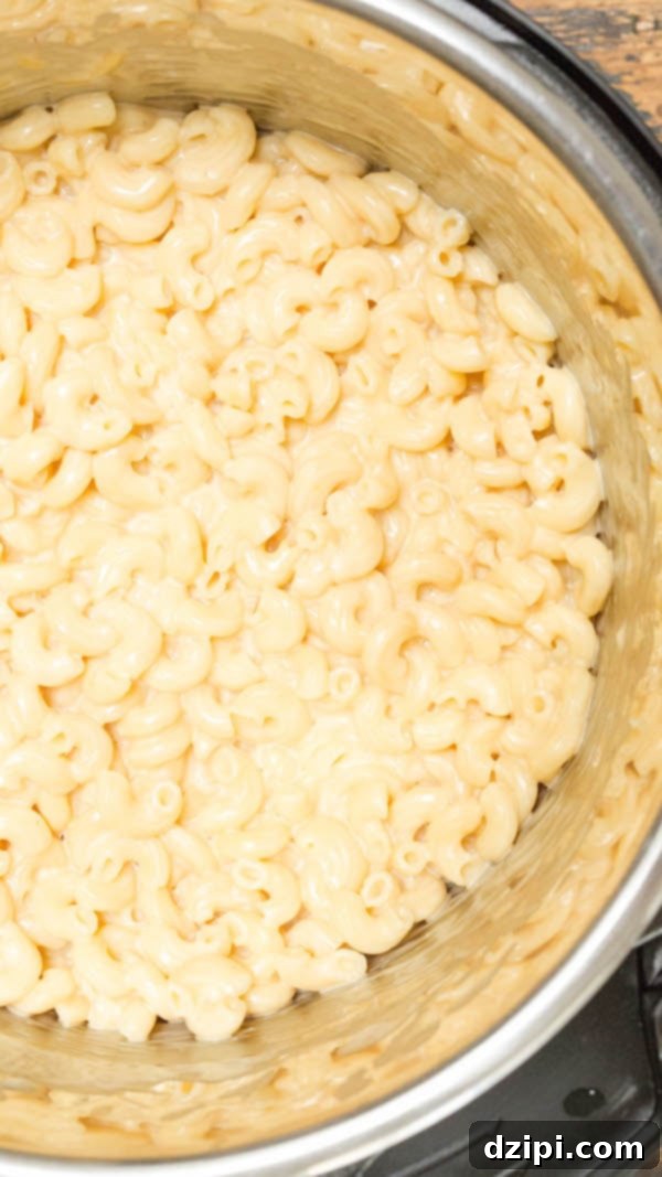 Close up of Instant Pot Mac & Cheese, highlighting the creamy sauce.