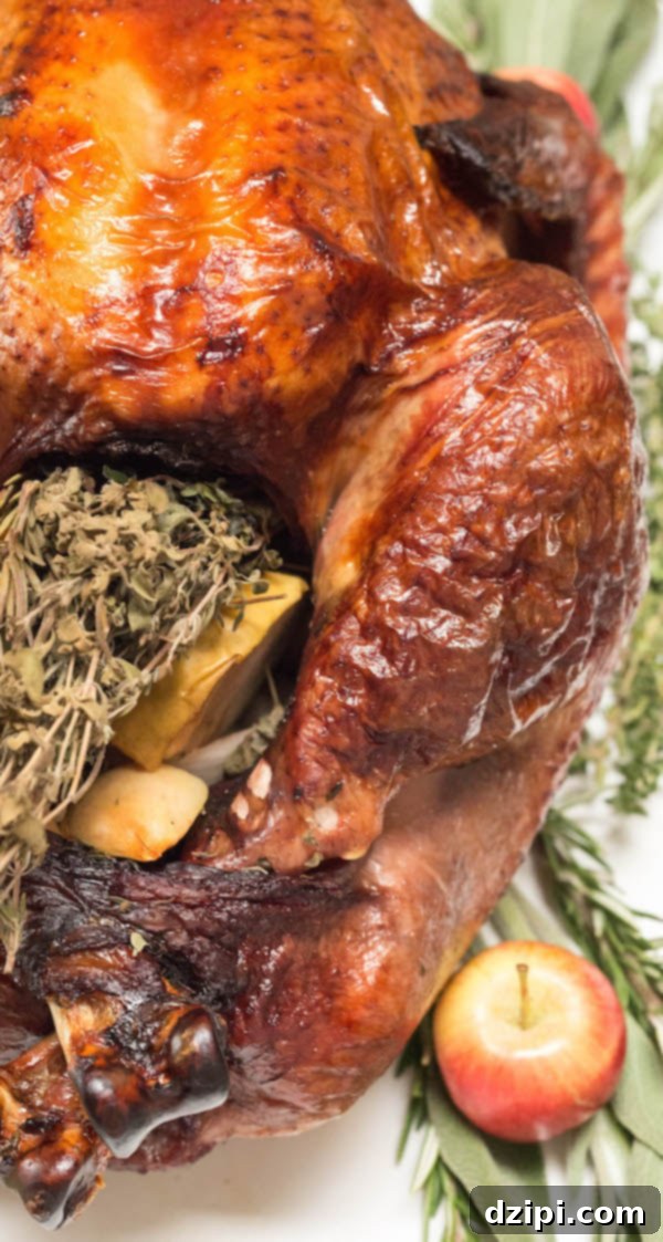 Beautifully roasted Red Wine Turkey with deep brown, crispy skin, ready for carving.