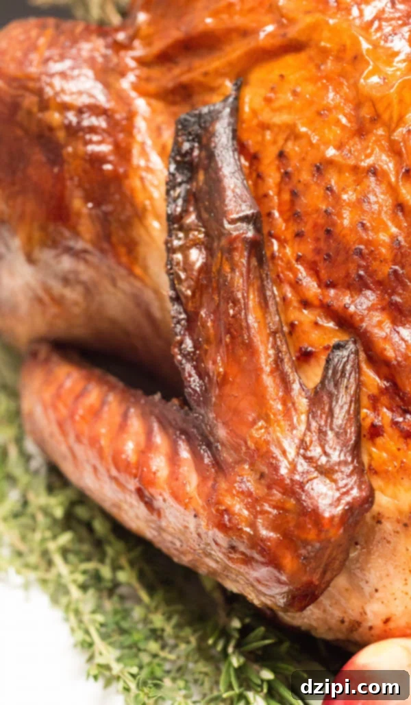 Close-up of a moist, deep brown turkey wing, highlighting the successful red wine brine.