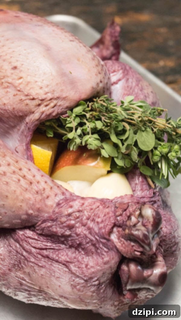 Raw turkey with a subtle purple hue on its skin, indicating it has been successfully brined in red wine, ready for cooking.