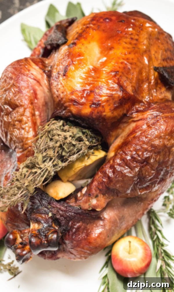 A perfectly roasted red wine turkey, beautifully browned, stuffed with herbs and fruit, presented on a white platter ready to be carved.