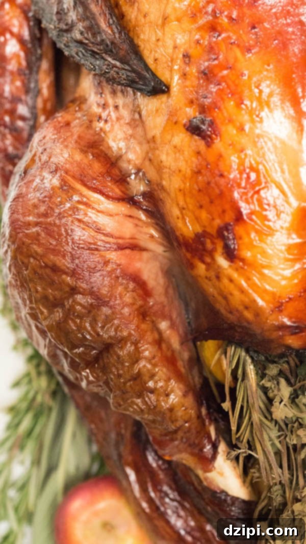 Close-up of a succulent, deep brown turkey leg from a red wine brined turkey, showcasing crispy skin.