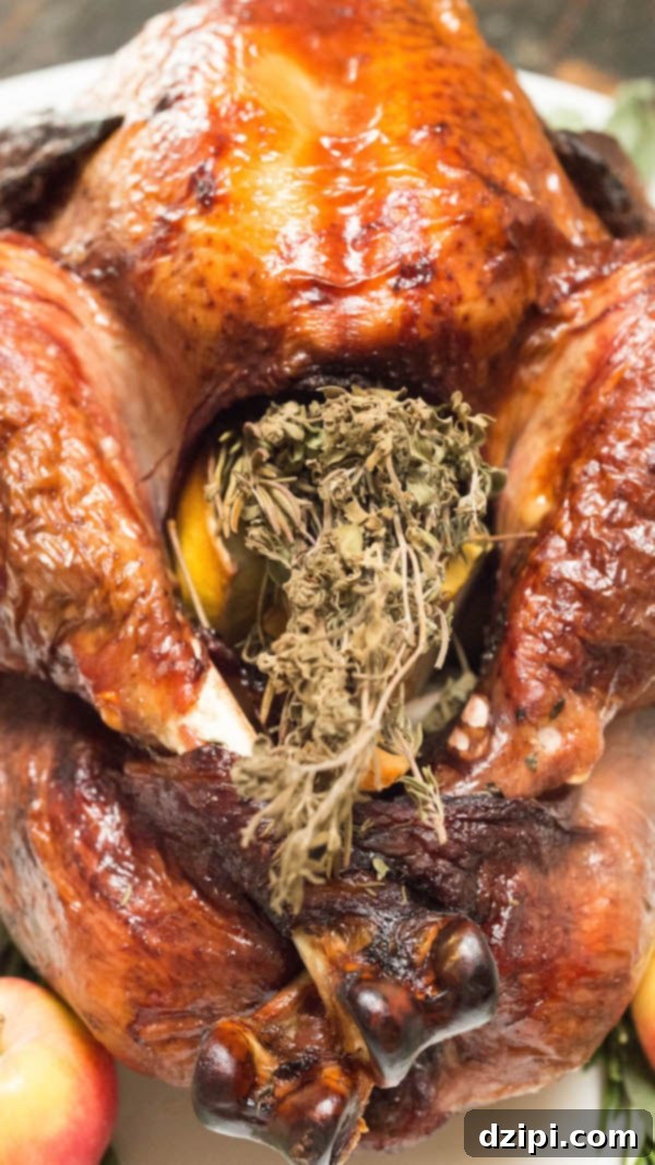 A whole red wine brined turkey, beautifully roasted and stuffed with an aromatic bundle of herbs and coarsely chopped fruits, ready to be served.