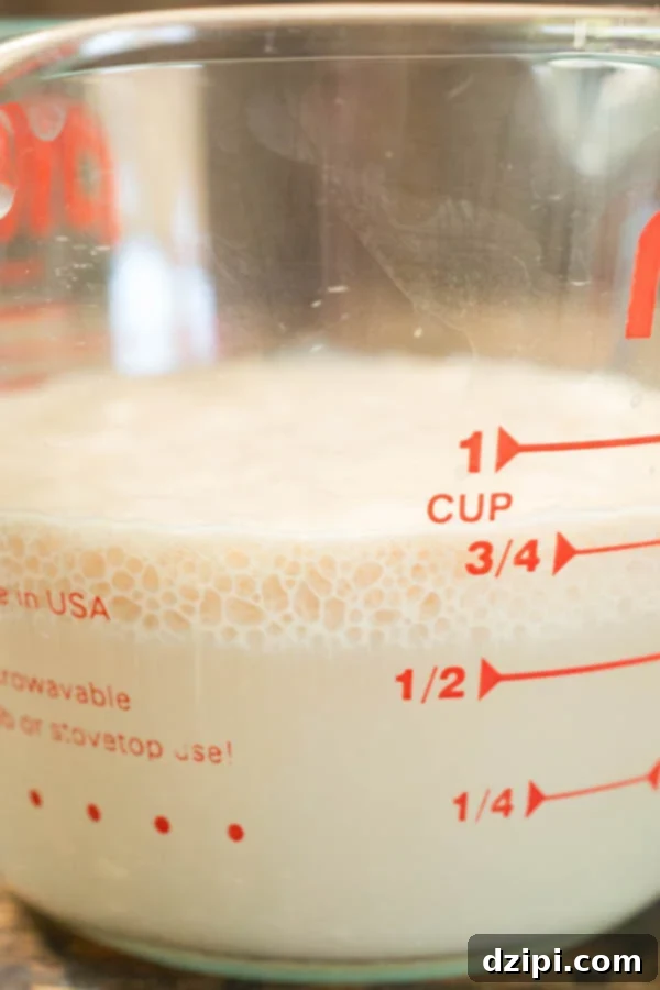 Close up of yeast that has bloomed in a glass pyrex measuring cup.