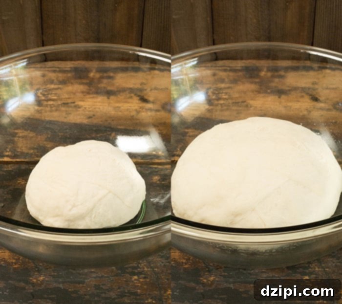 Side by side shot showing pizza dough before and after being proofed. 
