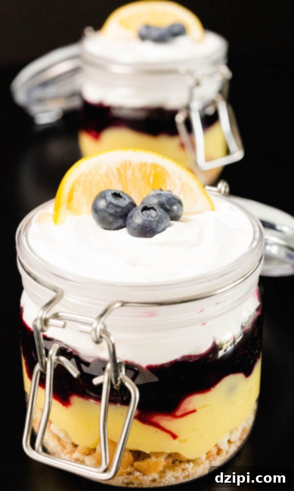 Two beautifully layered Meyer lemon & blueberry Parfaits, garnished with fresh blueberries and lemon zest, presented on a sleek black background.