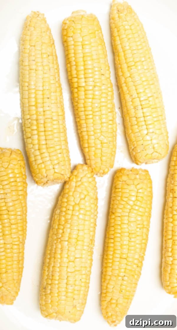 Ember-Kissed Corn on the Cob 4 Overhead shot of seven smoked corn on the cobs on a white background, ready to be served at a summer barbecue