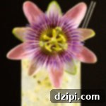A passion fruit cocktail in a highball glass is garnished with a passion fruit flower