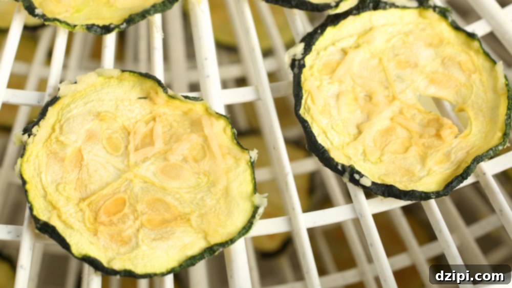 Parmesan Zucchini Chips in the Dehydrator