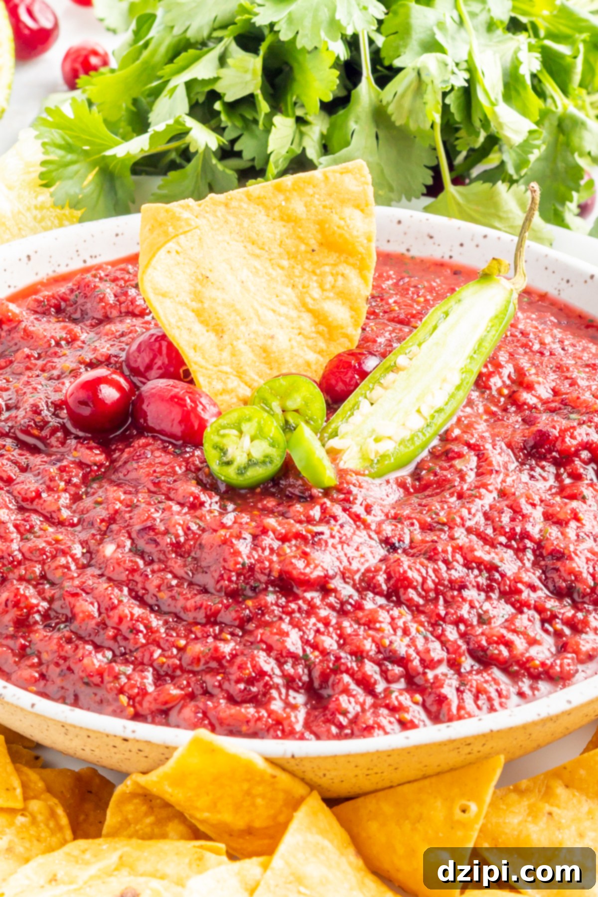 Ruby Red Cranberry Burst 6 Cranberry salsa sits in a large white bowl. It is garnished with fresh cranberries, a serrano pepper sliced in half, and a tortilla chip.