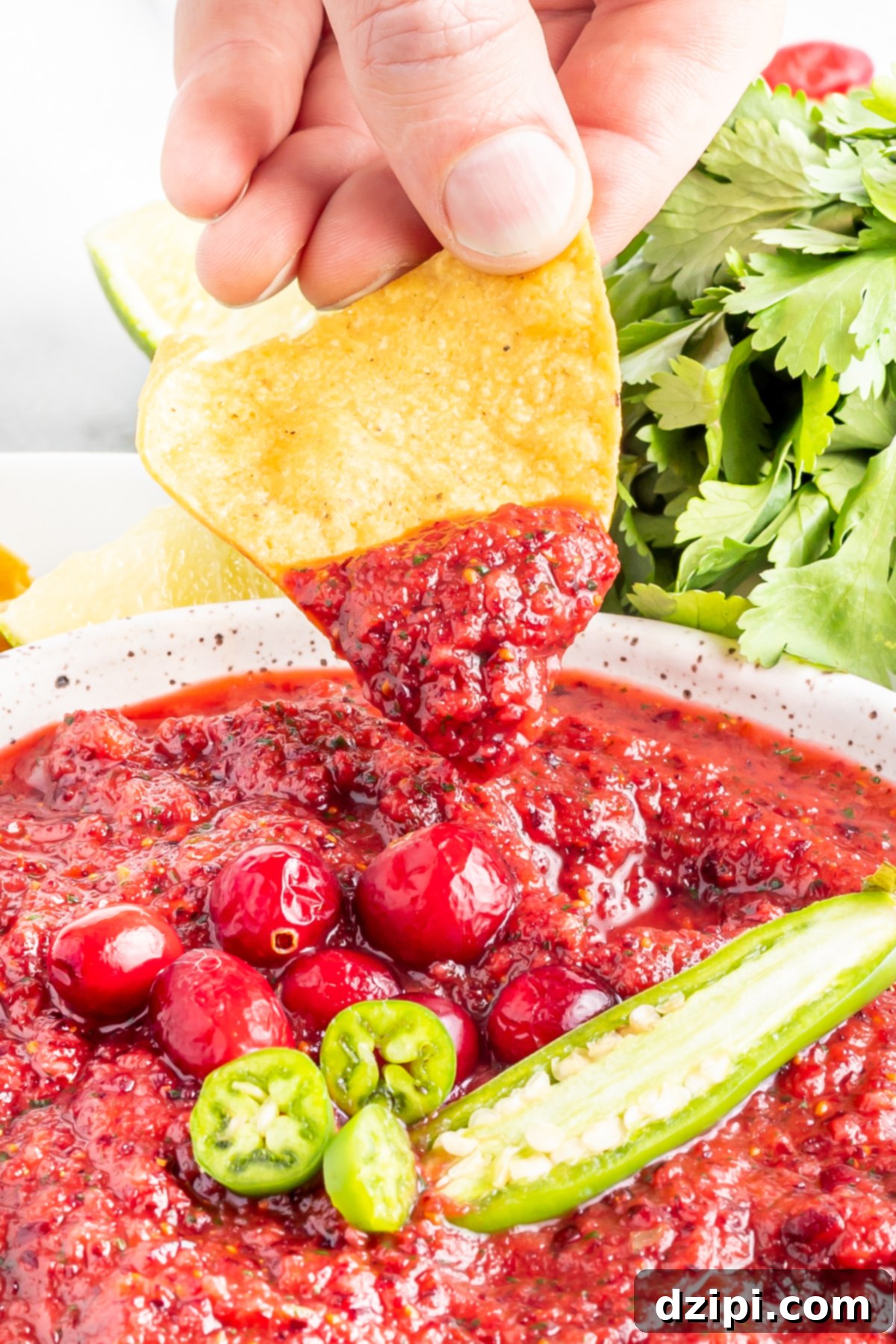 Ruby Red Cranberry Burst 7 Close up of a hand holding up a tortilla chip that's been dunked in the cranberry salsa.