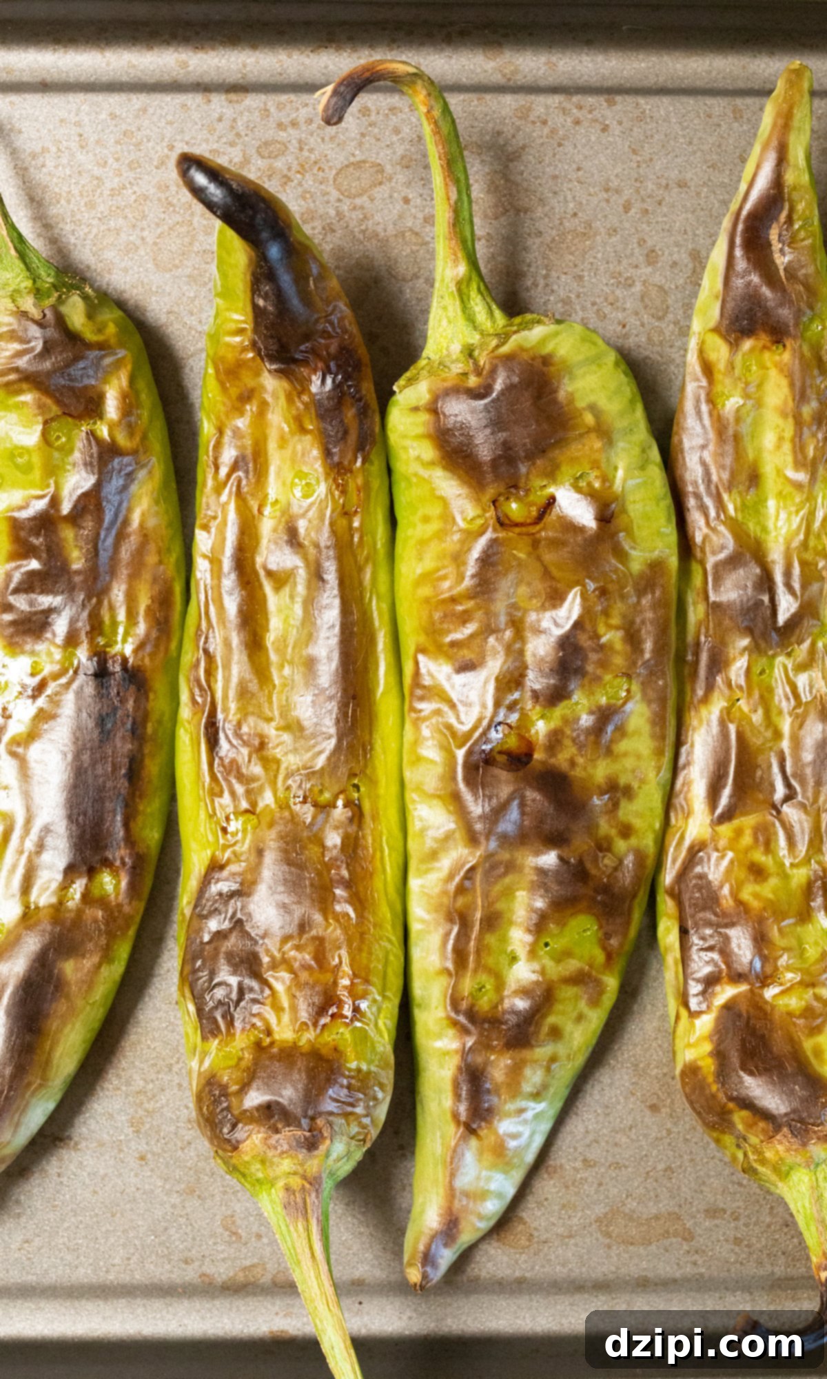 Charred Hatch Chiles 6 Close up of green roasted Hatch Chiles on a baking sheet, with some showing dark charring.