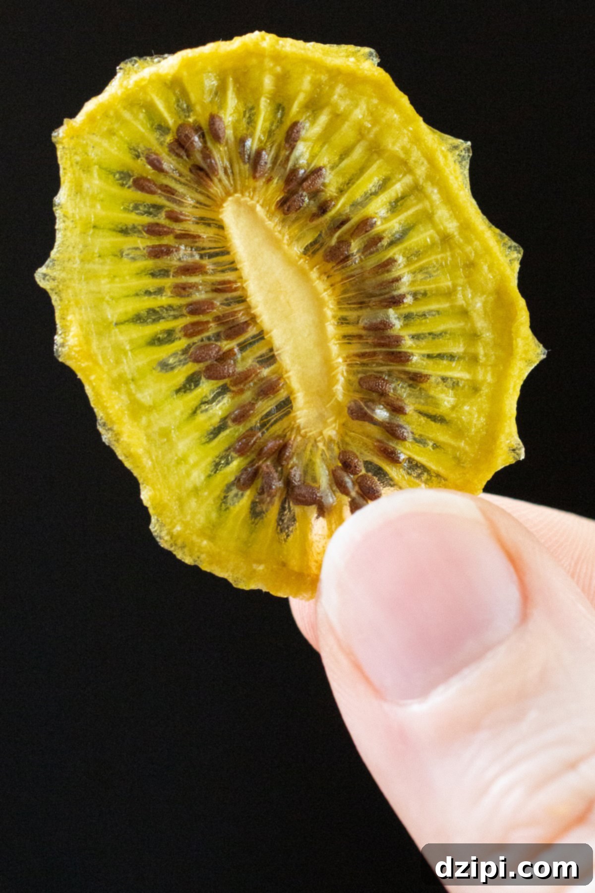 A close up of a thumb holding up a single dehydrated kiwi chip.