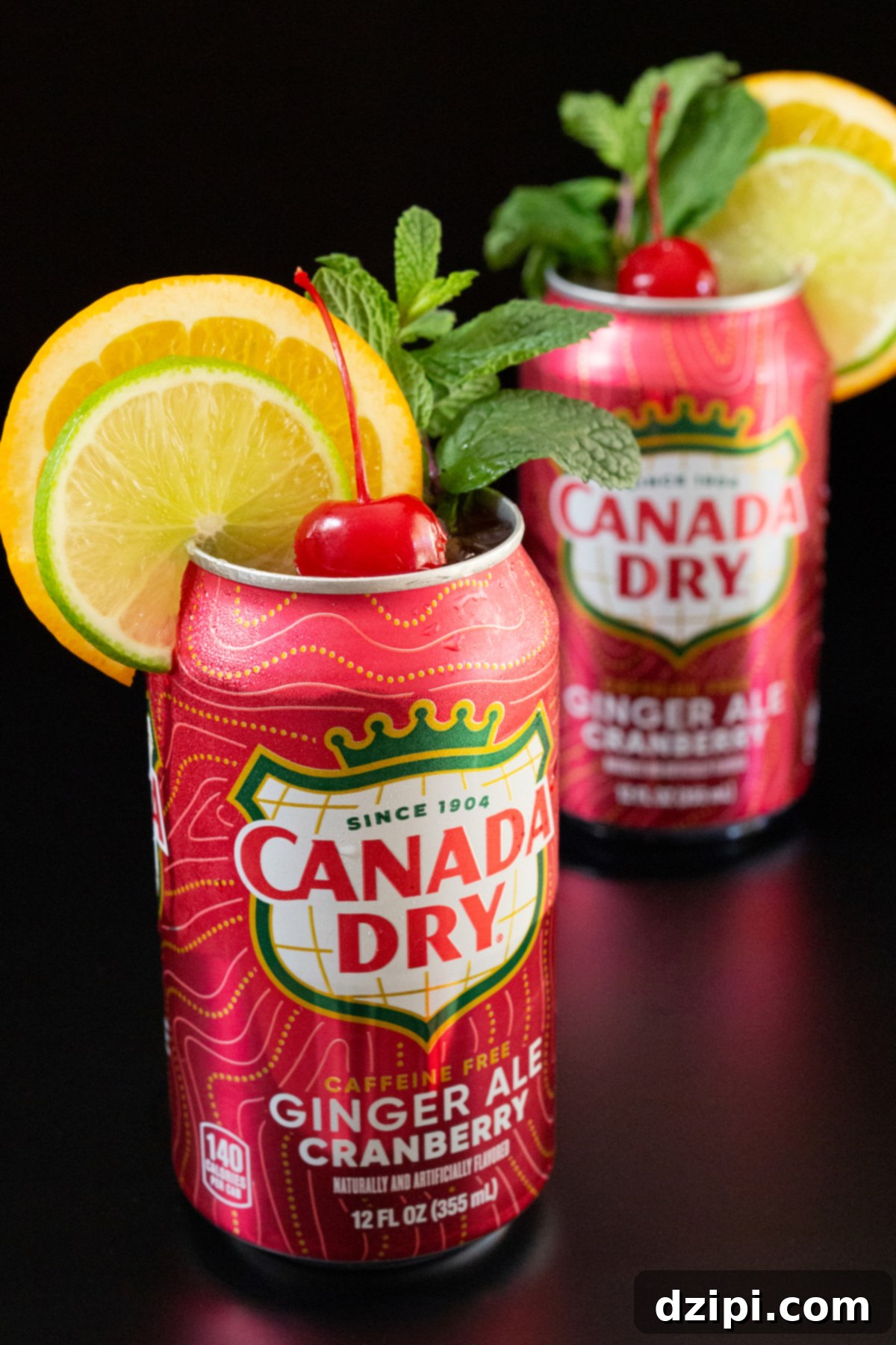 Two cans of Canada Dry Ginger Ale Cranberry have the tops taken off and are garnished with lime and orange wheels, a maraschino cherry, and a mint sprig.