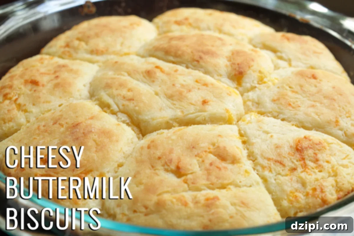 Fluffy Cheesy Buttermilk Biscuits 2 Cheesy buttermilk biscuits in a glass pan. Bottom left corner text reads "cheesy buttermilk biscuits"