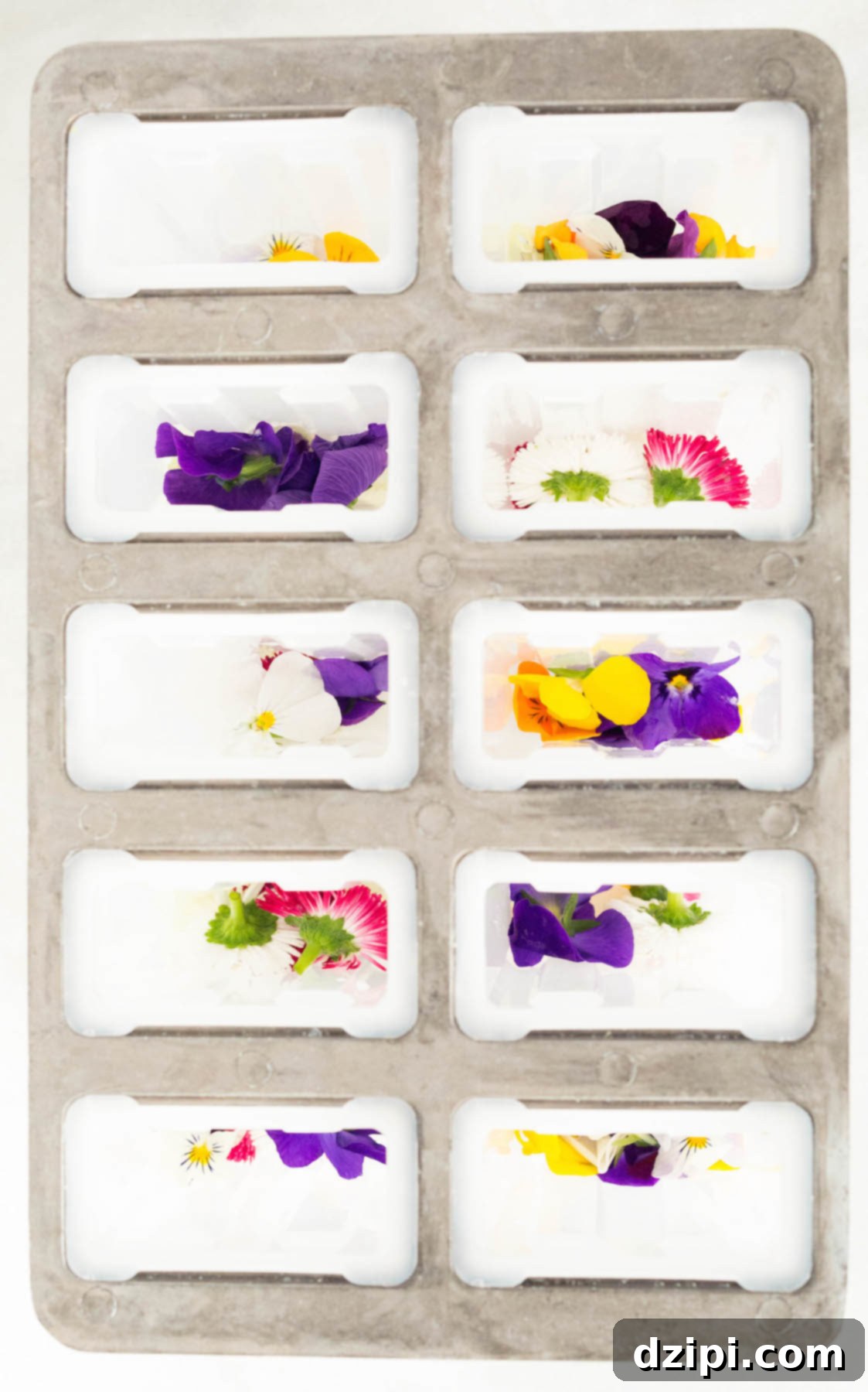 Sparkling Elderflower Champagne Pops with Floral Petals 5 Overhead view of a clear popsicle mold with vibrant edible flowers meticulously placed at the bottom, awaiting the liquid mixture.