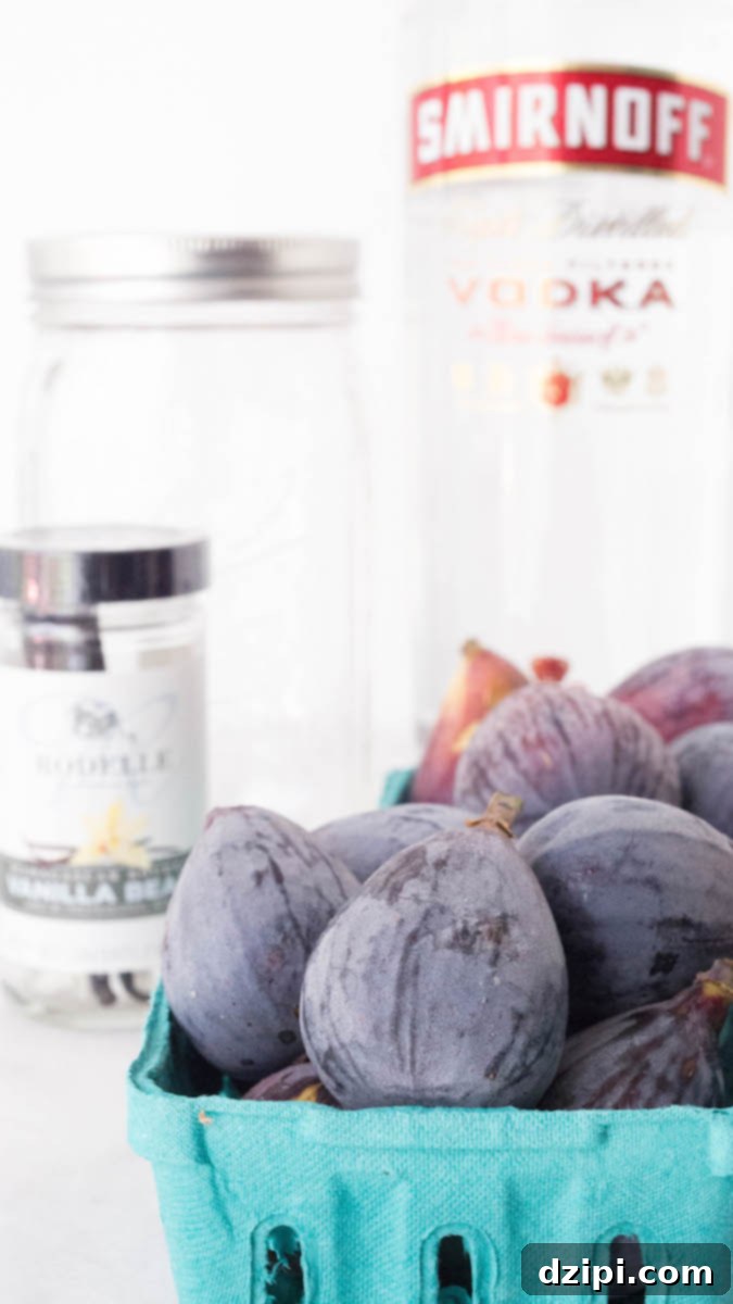 Homemade Fig Vodka Elixir 3 All the essential ingredients for fig infused vodka neatly arranged on a clean white background: a small basket of ripe brown figs, a bottle of quality vodka, a jar of fragrant vanilla beans, and an empty mason jar poised for the infusion process.