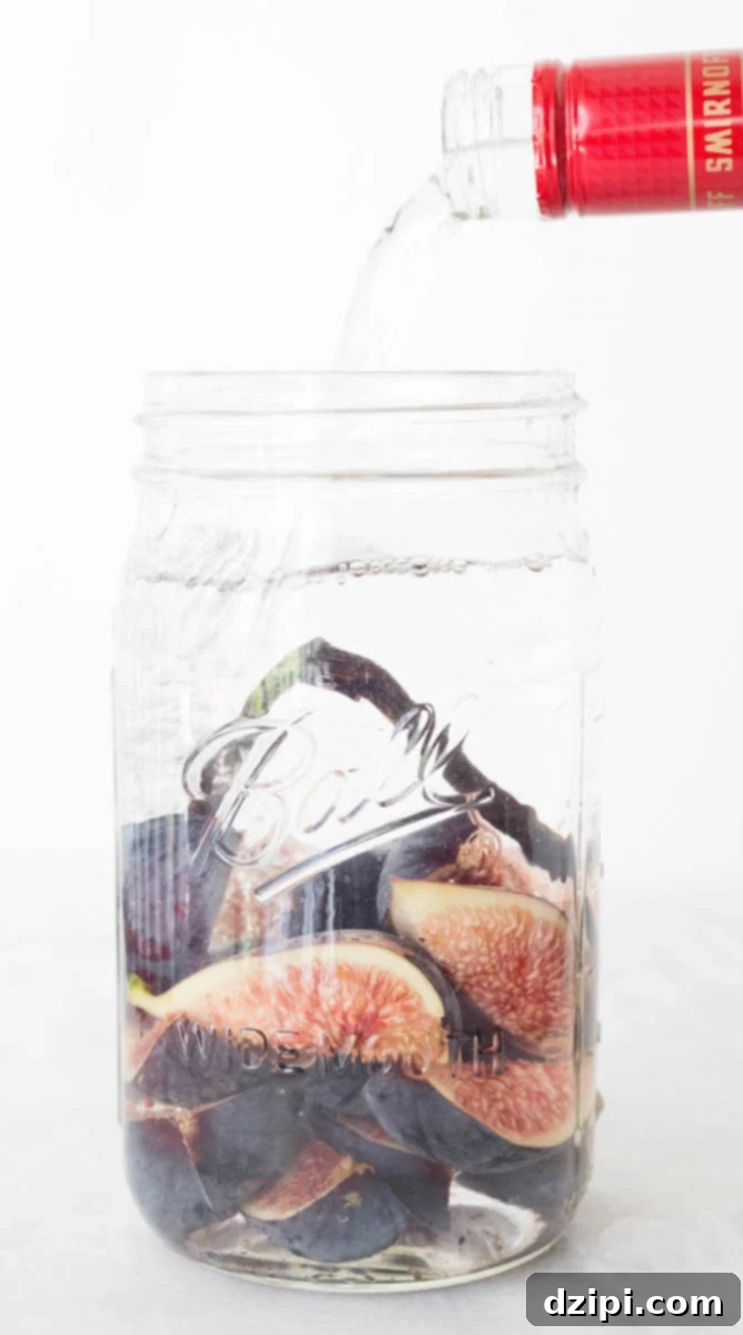 Homemade Fig Vodka Elixir 4 Freshly sliced figs and a whole, split vanilla bean are carefully placed inside a clear mason jar, as transparent vodka is gently poured over them, marking the initial step of the two-week infusion process.