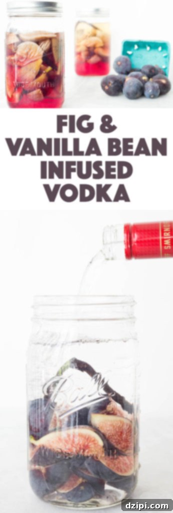 Homemade Fig Vodka Elixir 6 A tall, slender bottle of homemade Fig & Vanilla Bean Infused Vodka, showcasing its beautiful color and elegant presentation, perfect as a unique and thoughtful gift. The label indicates 'Fig & Vanilla Bean Infusion'.
