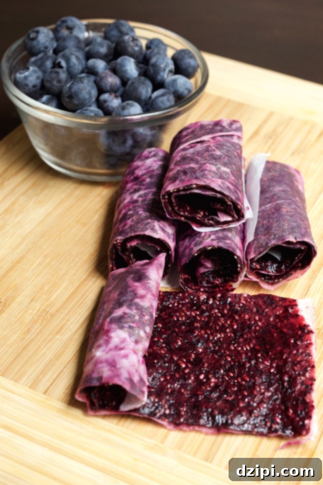 Homemade Blueberry Chia Seed Fruit Roll Ups 4 Blueberry Chia Seed Fruit Leather