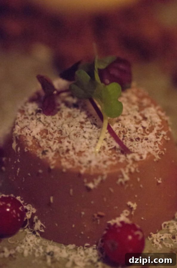 Chocolate mousse with blue cheese shavings and red currants, a surprisingly delicious dessert at Hotel Ranga.