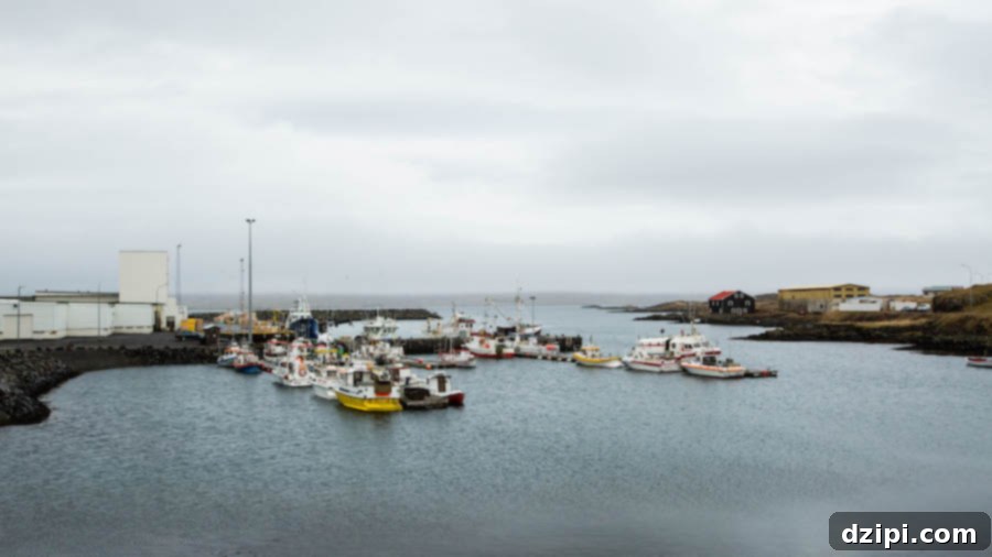 Scenic harbor view from Við Voginn restaurant in Djúpivogur, highlighting the freshness of local seafood.