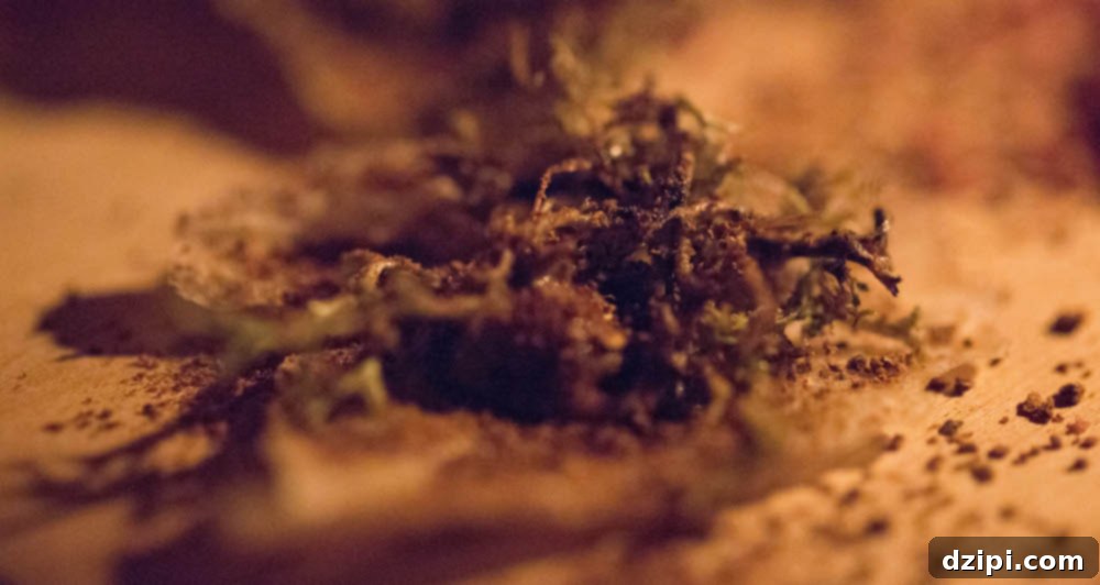 Dehydrated cauliflower and moss, a unique appetizer at Dill restaurant in Reykjavik.