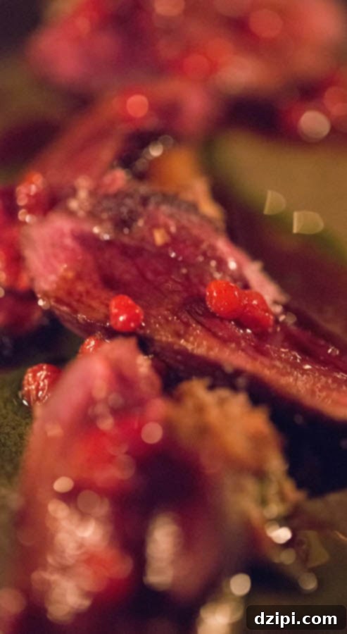 Wild goose with berries, a rustic and flavorful dish at Dill Restaurant, Iceland.