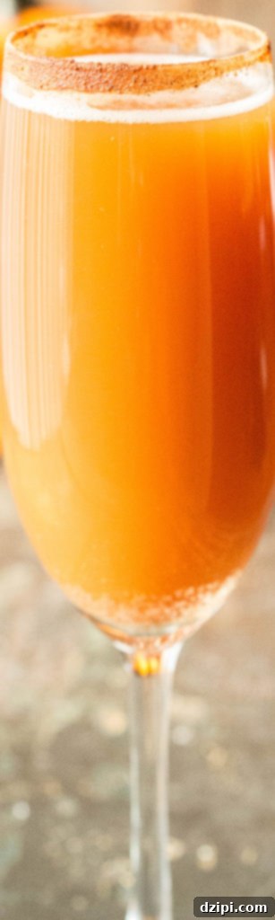 Pumpkin Ale "Beermosa" - Best Fall or Thanksgiving Drink Recipe made with Beer