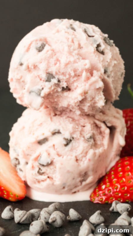 Two perfectly scooped portions of pink Strawberry Chocolate Chip Gelato, generously topped with more mini chocolate chips, presented elegantly on a dark background.