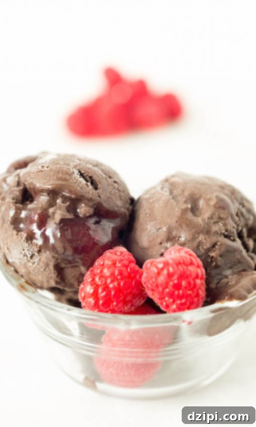 Two scoops of dark chocolate raspberry gelato in a clear bowl on a white background.