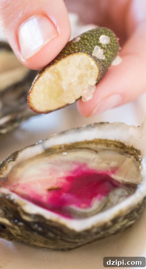 Jolly Oyster - Coolest & Best Foods at Smorgasburg