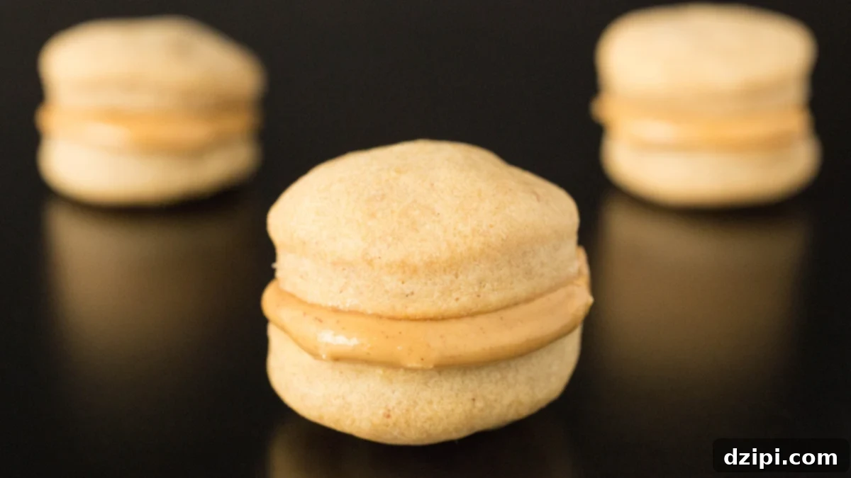 Gourmet Peanut Butter Macarons for Pups 2 Three golden brown Peanut Butter Dog Treat Macarons perfectly arranged on a sleek black background, looking irresistible and inviting.