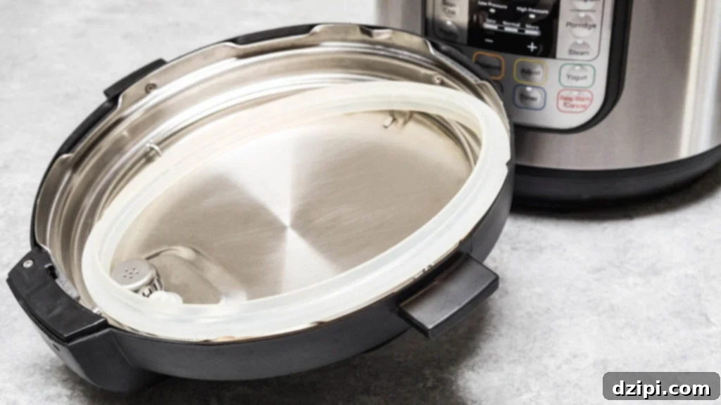 How To Get The Smell Out of an Instant Pot Sealing Ring