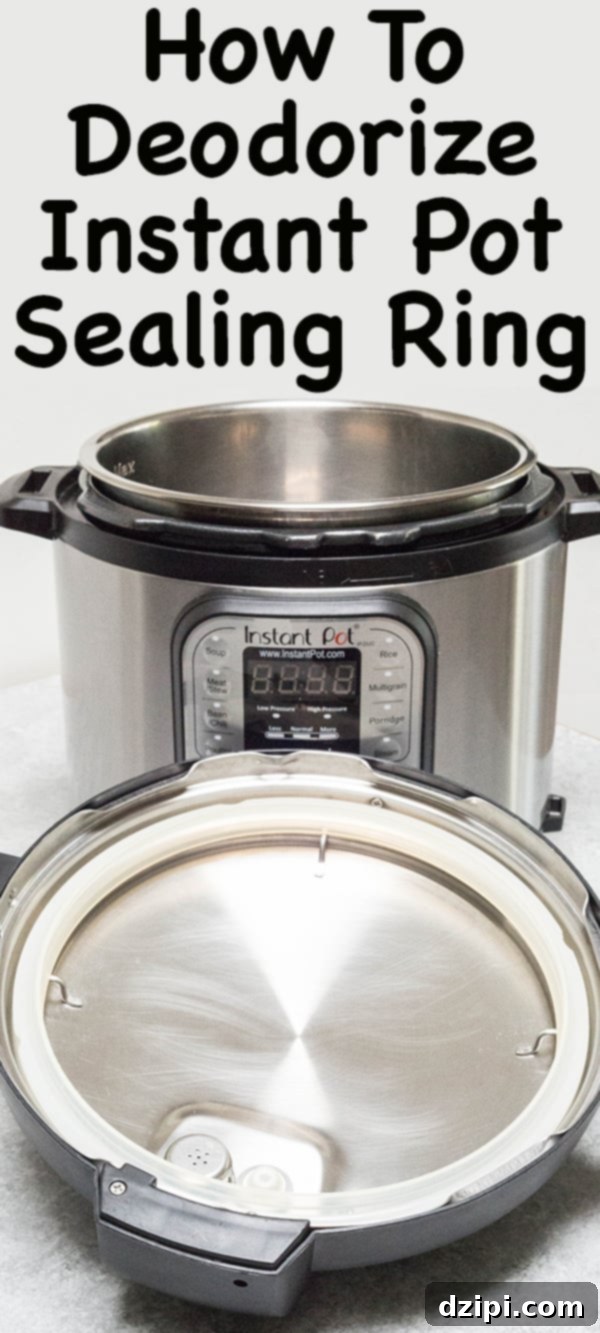 How To Deodorize Smelly Instant Pot Sealing Ring