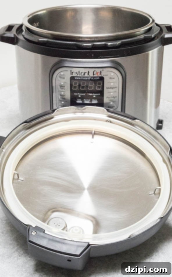 How To Deodorize Smelly Instant Pot Sealing Ring