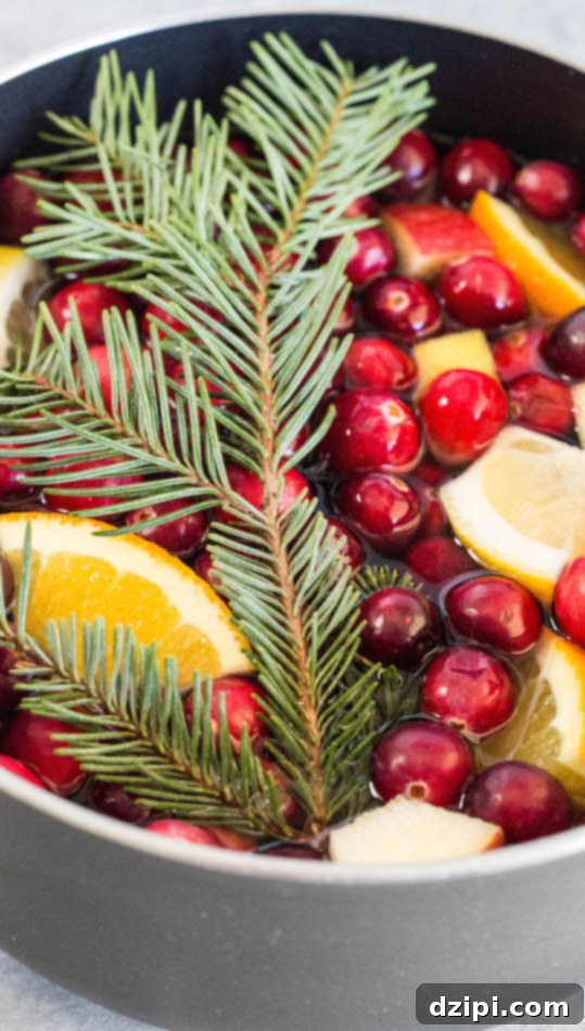Close up of homemade Christmas potpourri ingredients with a Christmas tree branch, chopped citrus, and fresh cranberries, ready to simmer.