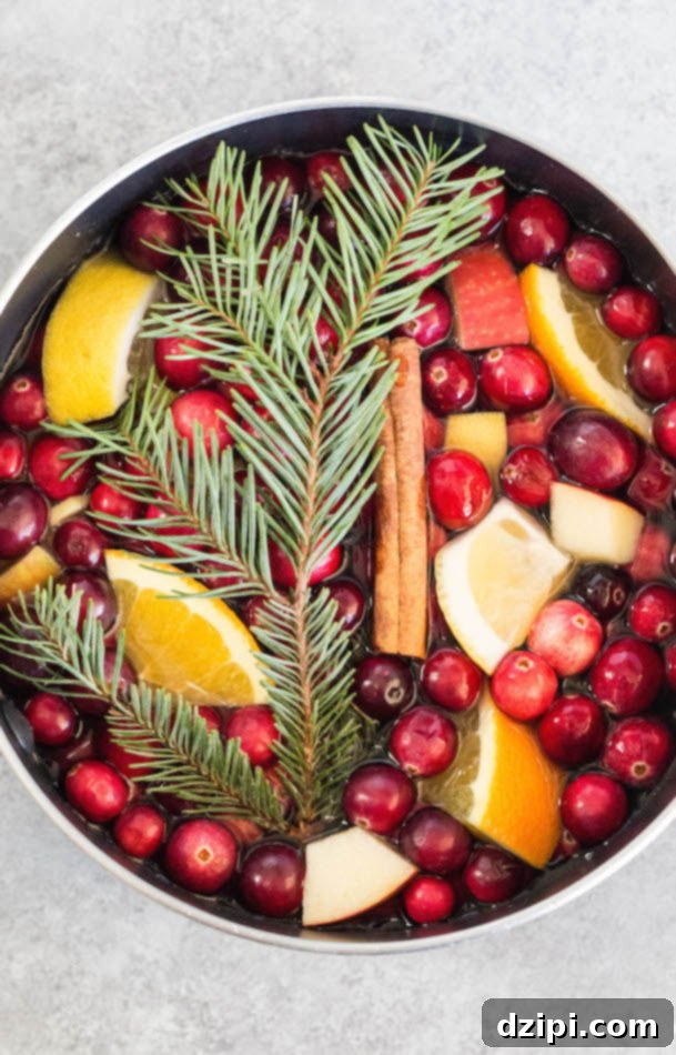 Christmas Potpourri Recipe simmering in a pot on a white background, emanating a wonderful holiday scent.