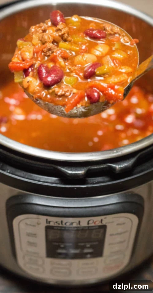 Instant Pot Copycat Wendys Chili 4 A close-up view of a ladle scooping a generous portion of Wendy's copycat Chili from the Instant Pot, showing the rich, thick consistency and various ingredients like beans, meat, and vegetables.
