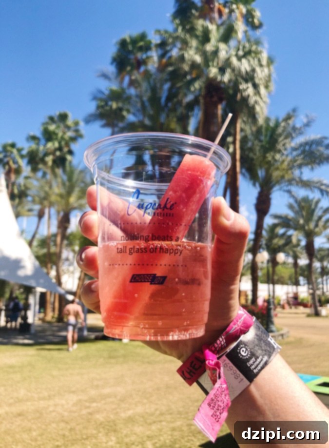 Coachella Eats and Sips 18 Coachella Food & Drinks - Wine Popsicles in Sparkling Rosé: A Sweet and Sparkling Treat