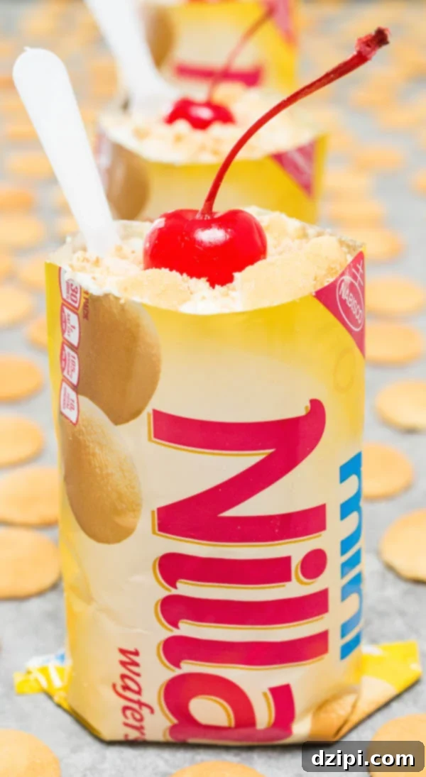 Individual Walking Banana Pudding served in a mini Nilla Wafer bag, topped with a swirl of whipped cream, crushed wafers, and a maraschino cherry.